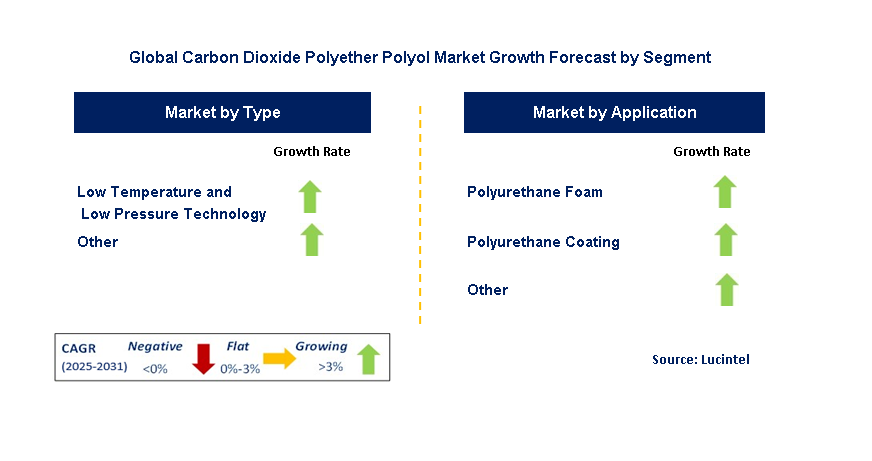 Carbon Dioxide Polyether Polyol Market by Segment